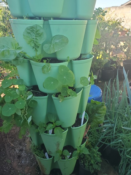 Tower garden has 36 pockets