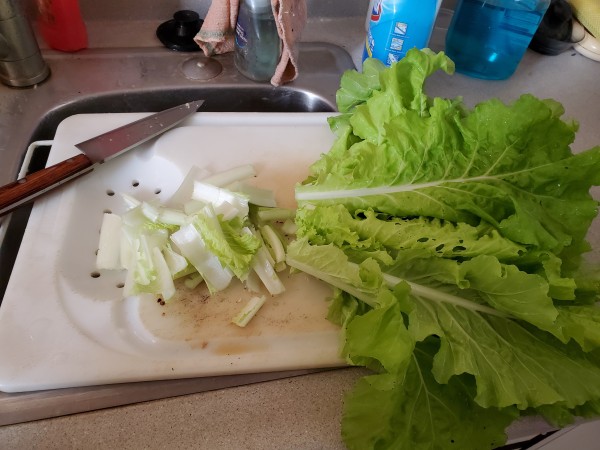 harvested two Tokyo bekana for stir fry.  They are crisp like lettuce and can be used in salads when they are young. They are a very mild cabbage in the mustard family