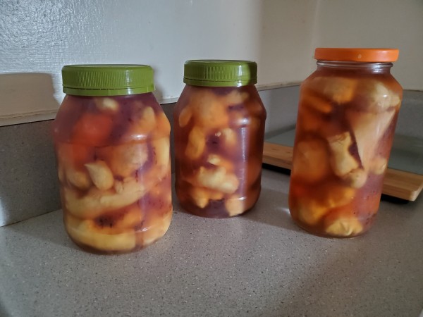 ginger preserved in sherry