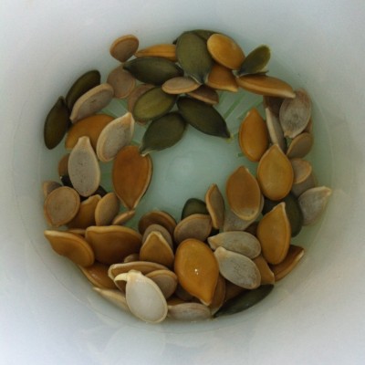 Germinated seed (largish tan seed at 7 o'clock position)