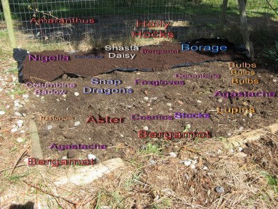 Flower_Garden_Layout_Small_Update2.jpg