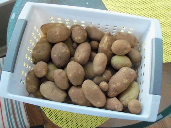 100_4773.JPG