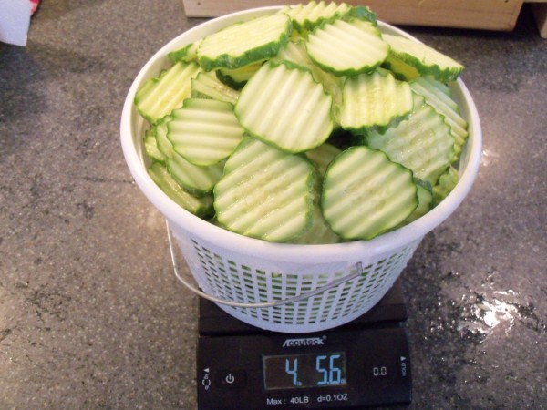 100_4914.JPG