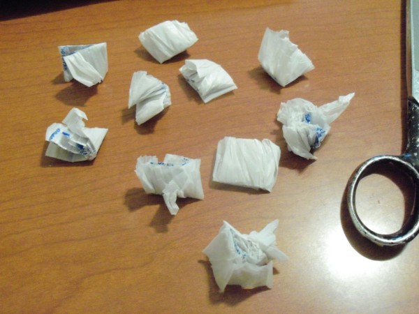 100_5519.JPG