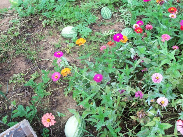100_5667.JPG