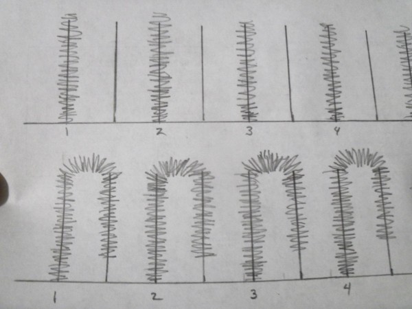 100_5789.JPG