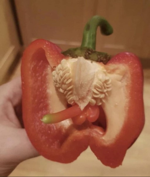 p-pepper.jpg