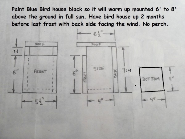 N-C-BlueBirdNestBox.JPG