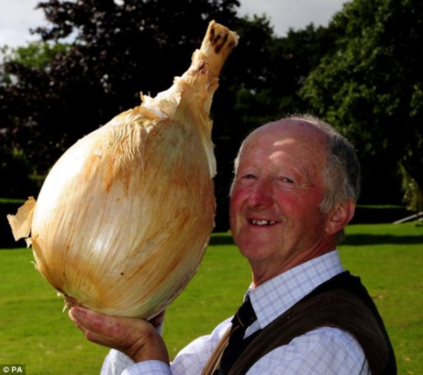 Onion18lb.jpg