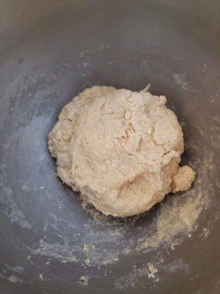 mixed the ingredients to form a wet dough.