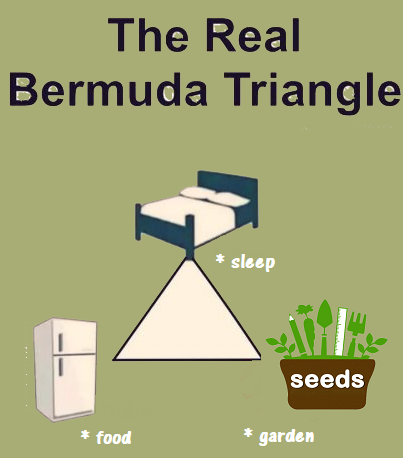 triangle.png