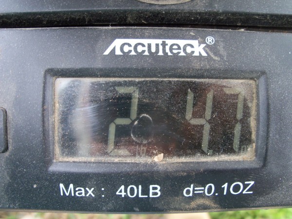 100_7382.JPG