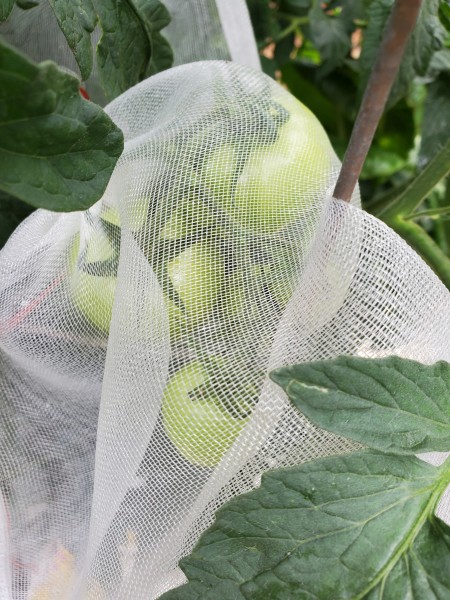 fruit net bags