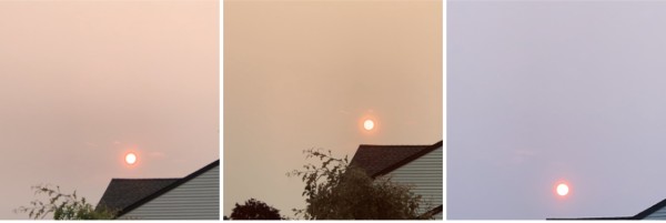 9B5799AC-EBFD-4EAE-87EE-30C47B225150.jpeg