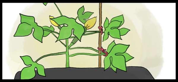 https://agri.mynavi.jp/2020_03_11_110709/
