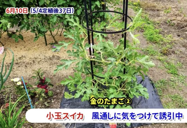 6FBD75ED-3E27-4612-AC3D-3DA0EF640389.jpeg