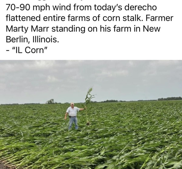 90mphCorn.jpg