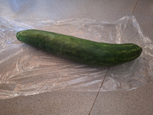 jibai shimoshizaru cucumber