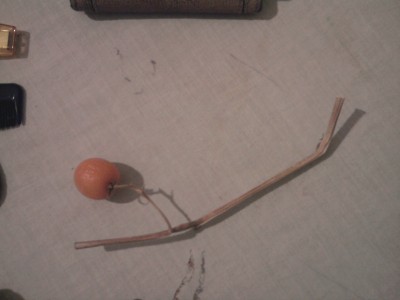 The sole fruit attached to a hollow brown stem