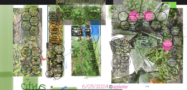 BA6A3174-8A60-46CE-98E6-DED75D84D58D.jpeg