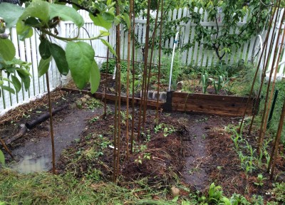 Raised bed Vegetable Garden