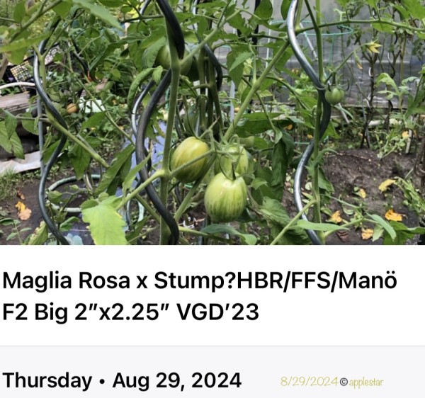 371A32AB-E2D9-4105-827E-650BE12C4EBF.jpeg