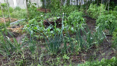 Spiral Garden full ground-level view