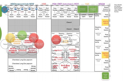 Vegetable Garden Raised Beds map updated with peppers in VGD and VGB