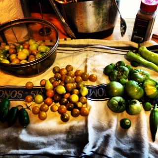 Early June harvest.JPG