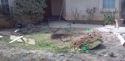 First, the cherry tree had to be relocated.  It had just been planted there in that hole a few months before, and was still dormant.  It fared well and I got to eat 1 cherry before the birds took the rest!