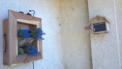 Earlier, there was a grate over the blocks to keep lizards away.  I don't know if lizards would eat the bees, but hubby likes to engineer for all possibilities.  LOL. The bees seemed a little confused by it, so we took it off.   To the left is a little wall planter box.  We put a tray with lava rocks and a mister that goes off with the irrigation so the bees would have water nearby.  Lobelia and alyssum for morning snacks, just in case.