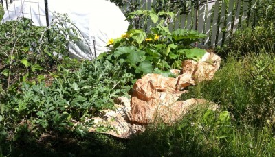 In this photo, I'm starting to lay out the packing paper. <br />I left all that sedge, clover and weedy grass growing in this area because <br />I knew I wanted to do this and needed as much mulching material <br />as I could get.