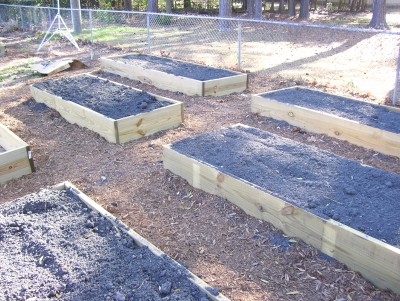 filled beds 005.JPG