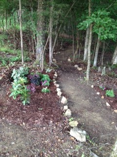 Trail3.jpg