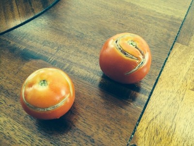 Wierd Tomato Scaring.jpg
