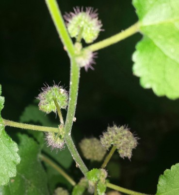20140715_011650-1-1.jpg