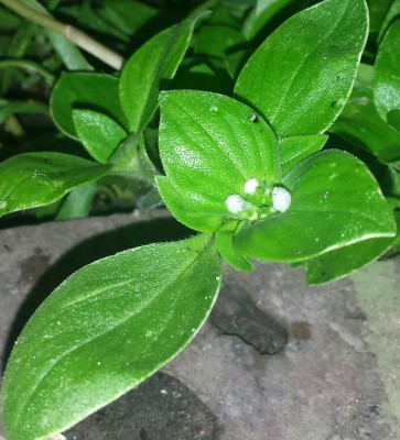 20140716_050437-1-1-1.jpg