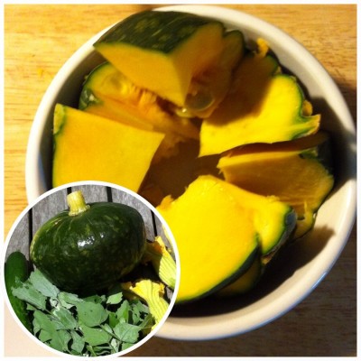 1/2 of the squash cut up into a Pyrex bowl