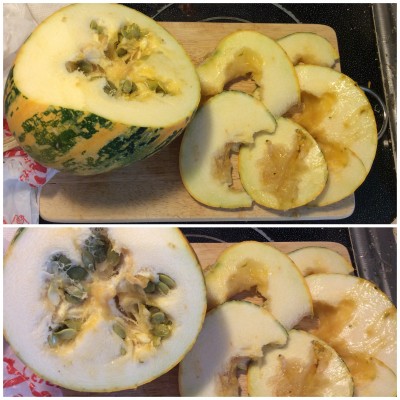 Squash Vine Borer inside the Kakai squash ugh!