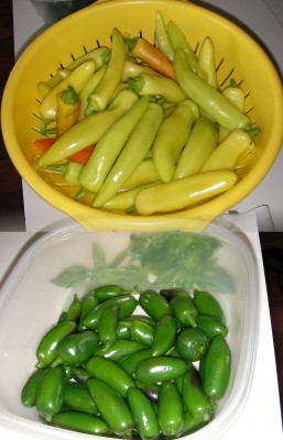 peppers (2).jpg