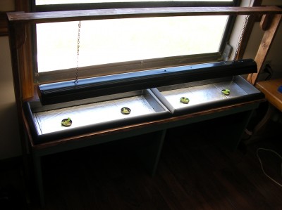 SANY0058.JPG