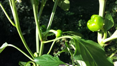 20140907_165726.jpg