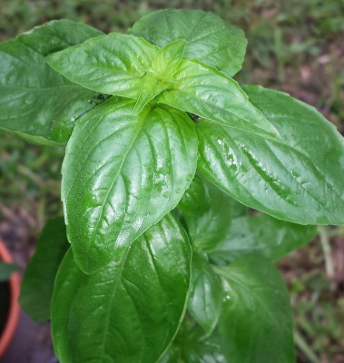 20140920_092450-2-2-1-1.jpg