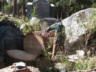 firewood 11.JPG