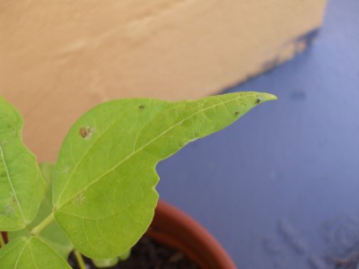 DSCF3239.JPG