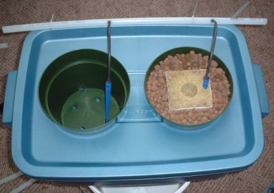 The blue steaks are drop controllers. I will be melting more holes in the green pot to encourage root development. On the right you see a 4&quot; cube of rock wool supported by expanded clay pellets. There will be aeration system under the lid.