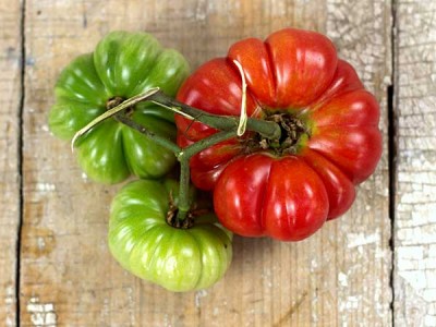 Bali-Tomato-web2.jpg