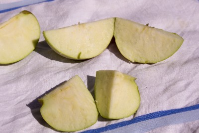 Seedless apples  cut open
