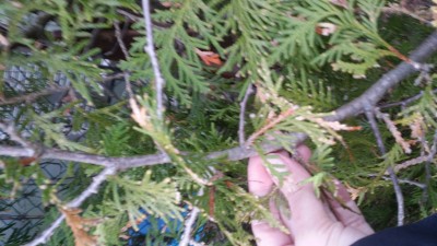 20150419_181108.jpg