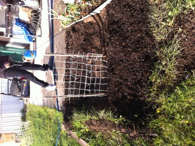 Finally the garden is ready! I started peas, carrots, and spinach seeds outside yesterday. It's only about 6' x 4', but I have big plans for it :) Check out that homemade trellis!